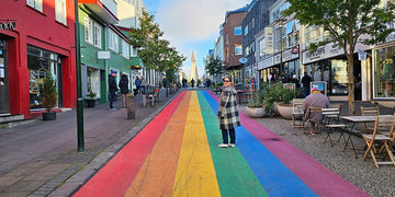 What To Do in Reykjavik in One Day - Maps by Ema